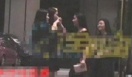 爆料张丰毅出轨视频播放,真相与争议